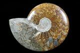 Polished, Agatized Ammonite (Cleoniceras) - Madagascar #75971-1